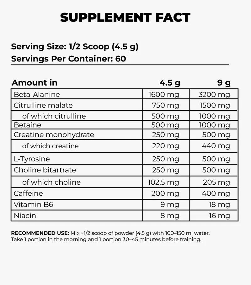 Sactter Brain 1.webp