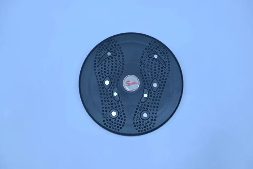 Waist Twisting Disc